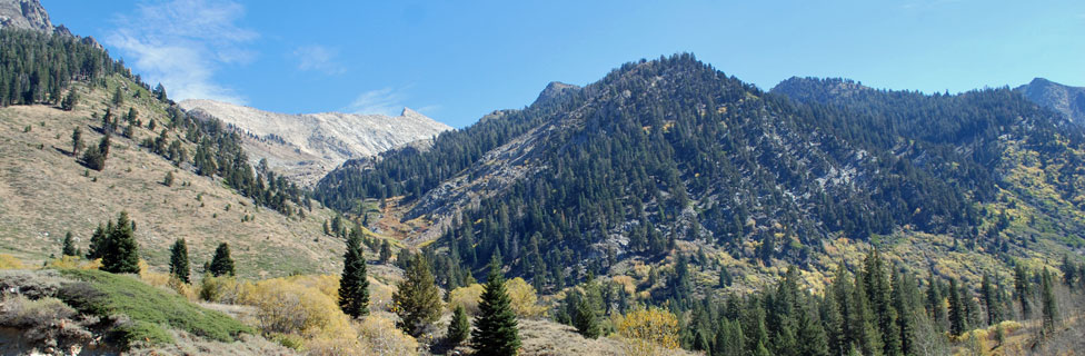 Mineral King, Sequoia National Park, California