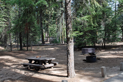 Lower Stony Creek Campground, Sequoia National Monument