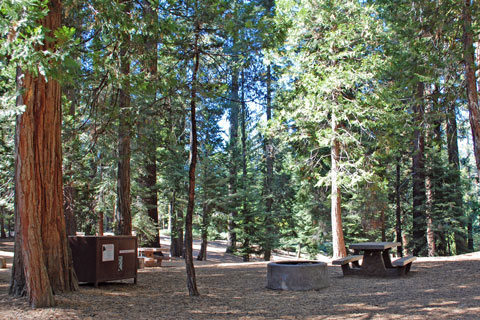 Sunset Campground, Grant Grove, Kings Canyon National Park