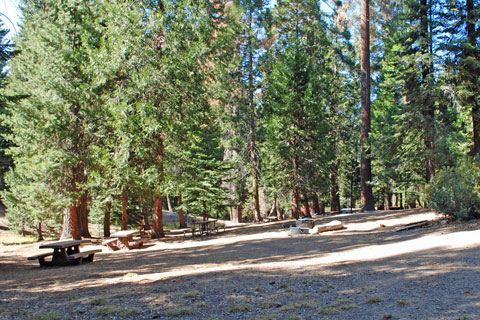 Sunset Campground, Grant Grove, Kings Canyon National Park