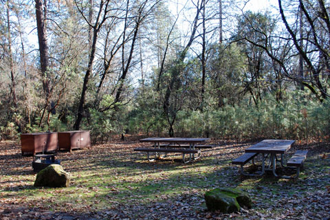 Antlers Campground at Shasta Lake.