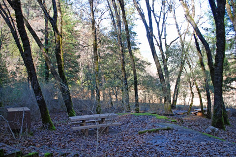 Ellery Creek Campground at Shasta Lake