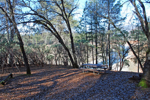 Gregory Creek Campground at Shasta Lake