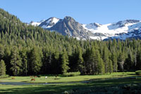 Kennedy Lake area, Tuolumne County, CA