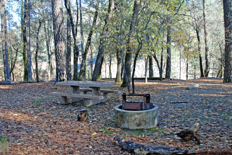 Lakeshore East Campground at Shasta Lake