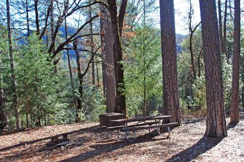 Moore Creek Campground at Shasta Lake