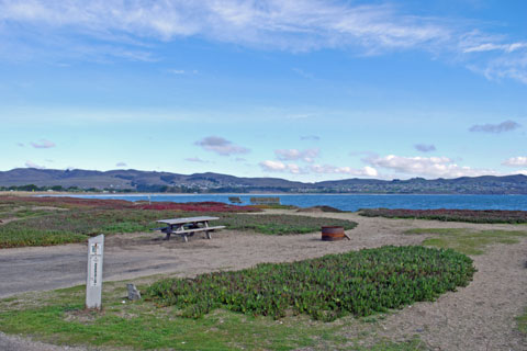 Doran Regional Park campground, Bodega Bay, CA