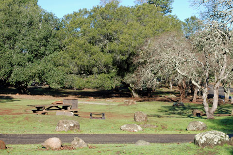 Spring Lake Campground, Spring Lake Regional Park, Santa Rosa, CA