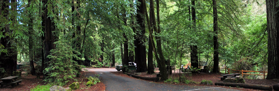 Samuel P. Taylor State Park, Marin County, California