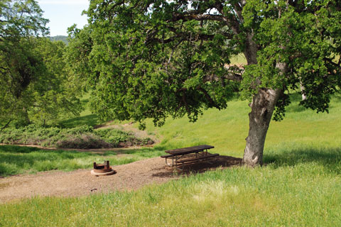 Big Oak Campground, New Melones Lake, CA