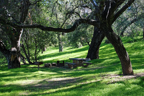 Fremont Campground, Los Padres National Forest, CA