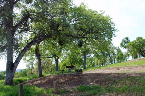 Ironhorse Campground, New Melones  Lake, CA