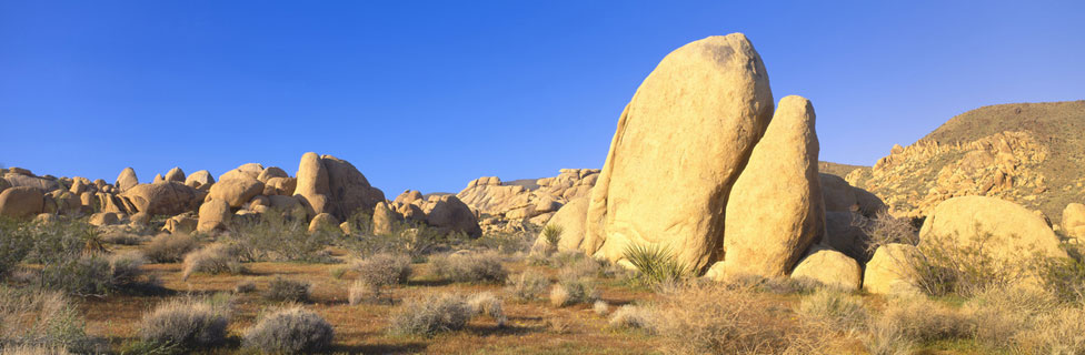 Joshua Tree National Park, CA