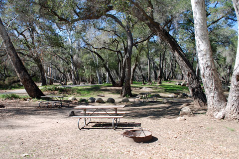 Creekside Campground, Lake Casitas, CA