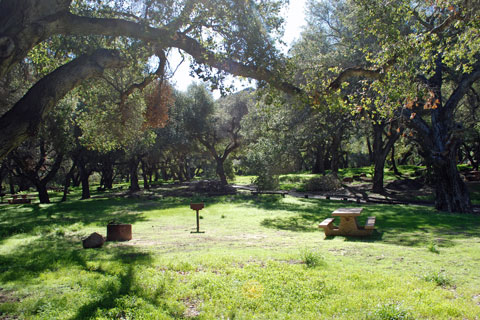 Los Prietos Campground, Los Padres National Forest, CA