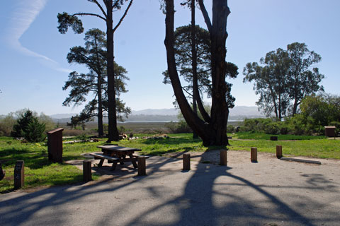 Morro Bay State Park Campground, CA