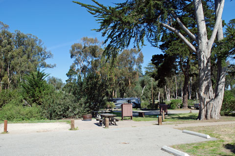 Morro Bay State Park Campground, CA