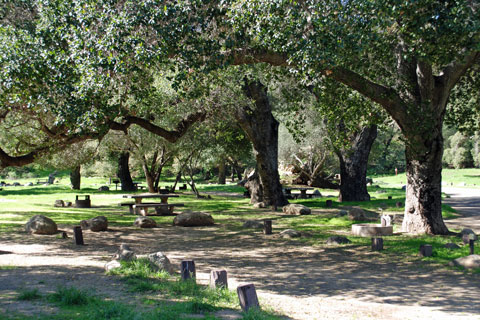 Paradise Campground, Los Padres National Forest, CA