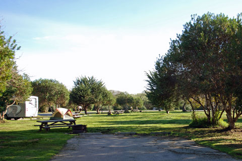 San Simeon Creek Campground, Hearst San Simeon State Park, CA