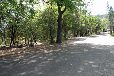 Brandy Creek RV Campground, Whiskeytown Lake, CA