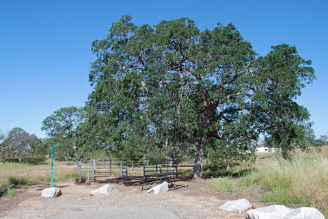 Equestrian Campsite in Wildcat Campground, Eastman lake, CA