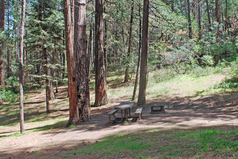 Lupine Campground, Bass Lake, Sierra National Forest, CA