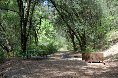 Peltier Bridge Campground, Whiskeytown Lake, CA