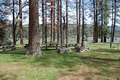 Scout Group Campsitre at Recreation Point Group Campground, Bass Lake, Sierra National Forest, CA