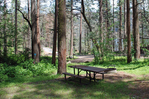 Spring Cove Campground, Bass Lake, Sierra National Forest, CA