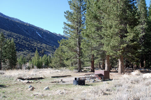 Big Meadow Campground, Rock Creek,  Inyo National Forest, CA