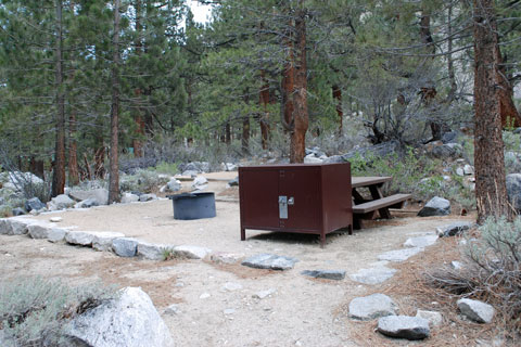 Big Pine Creek Campground,   Inyo National Forest, CA