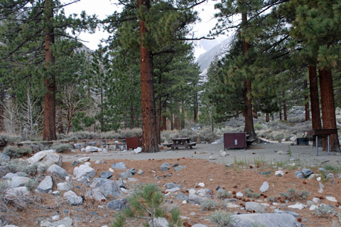 Clyde Glacier Group Campgroud, Big Pine Creek,  Inyo National Forest, CA