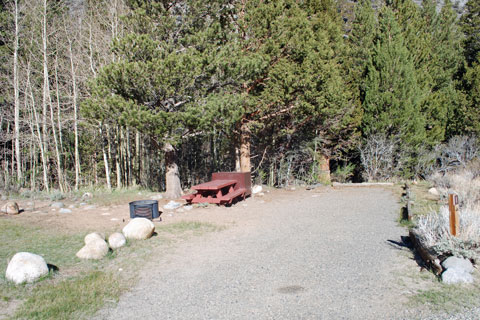 Iris Meadow Campground, Rock Creek,  Inyo National Forest, CA