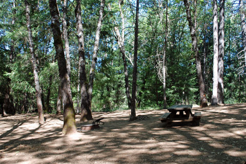 Long Ravine Campground, Rollins Lake, CA