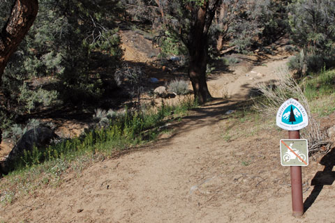 Pacific Crest Trail at Kennedy Meadows Campground,  Inyo National Forest, CA