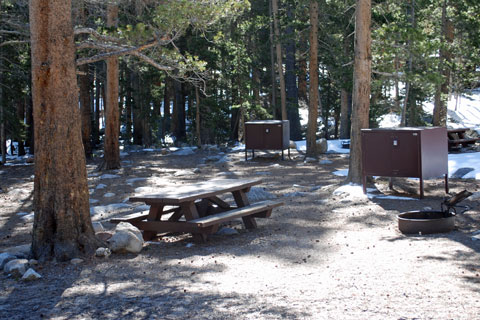 Pine Grove Campground, Rock Creek  Inyo National Forest, CA
