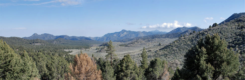 Sequoia National Forest, California