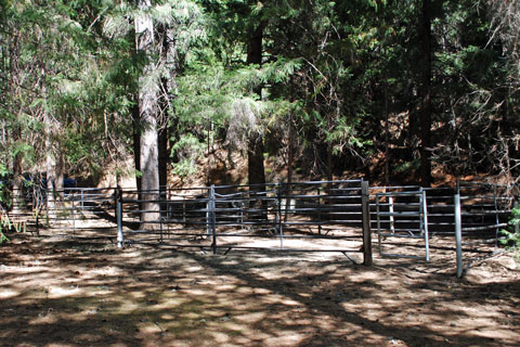 Bridge Camp corrals near Trinity Lake