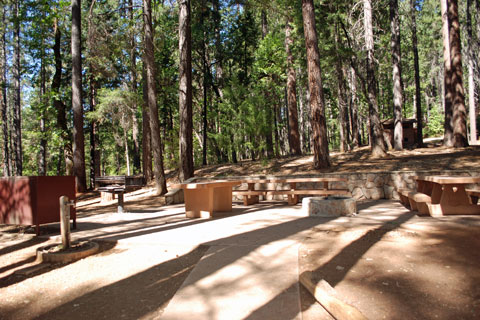 Bushytail Campground at Trinity Lake