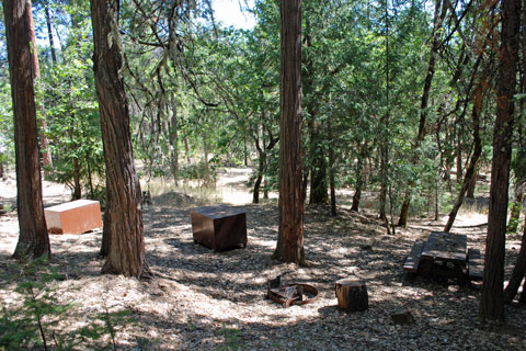 Clark Springs Campground at Trinity Lake