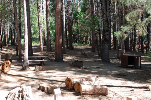 Hume Lake Campground, Fresno Co., CA