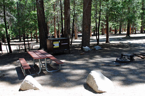 Sentinel Campground - Cedar Grove, Kings Canyon National Park