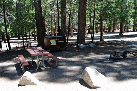 Sentinel Campground, Cedar Grove, Kings Canyon National Park