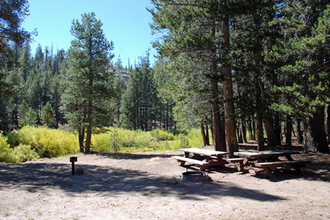 Bloomfield Campground near Ebbetts Pass, CA