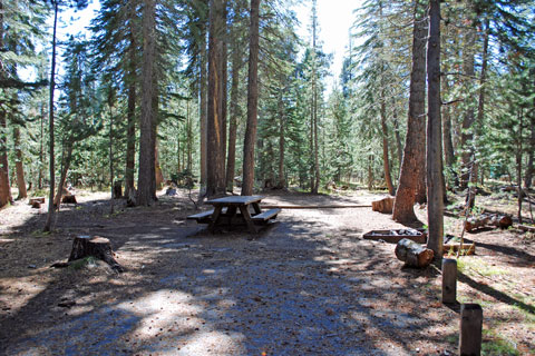 Spicer Reservoir Campground at Spicer Meadow Reservoir, CA