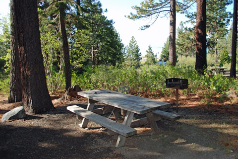 Tahoe State Reacreation Area Campground, Lake Tahoe