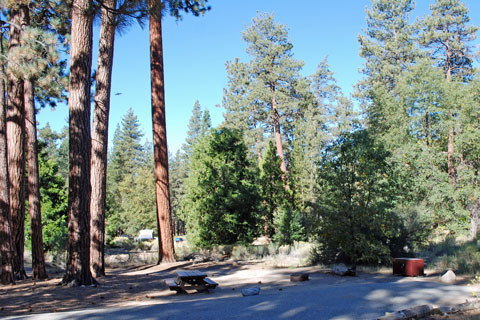 Barton Flats Campground, San Bernardino National Forest, CA