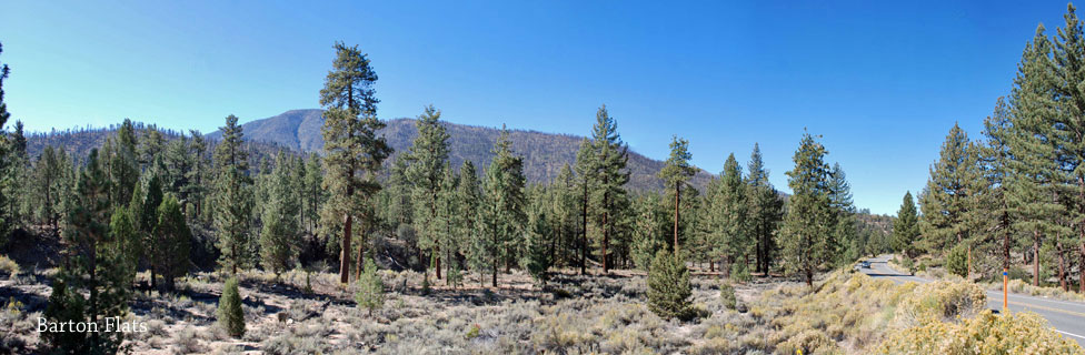  Barton Flats, San Bernardino National Forest, CA