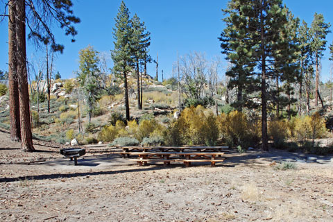 Grays Peak Group Campground, Big Bear Lake, CA