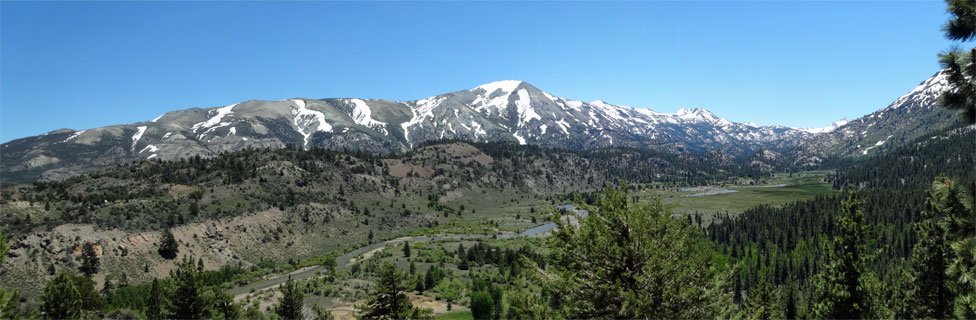 Leavitt Meadow, Humboldt-Toiyabe National Forest, California